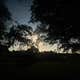 Sweet Briar Lake Campsites
