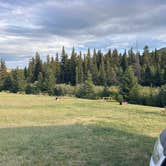Review photo of SweetPine Campground by Lee A., July 21, 2025