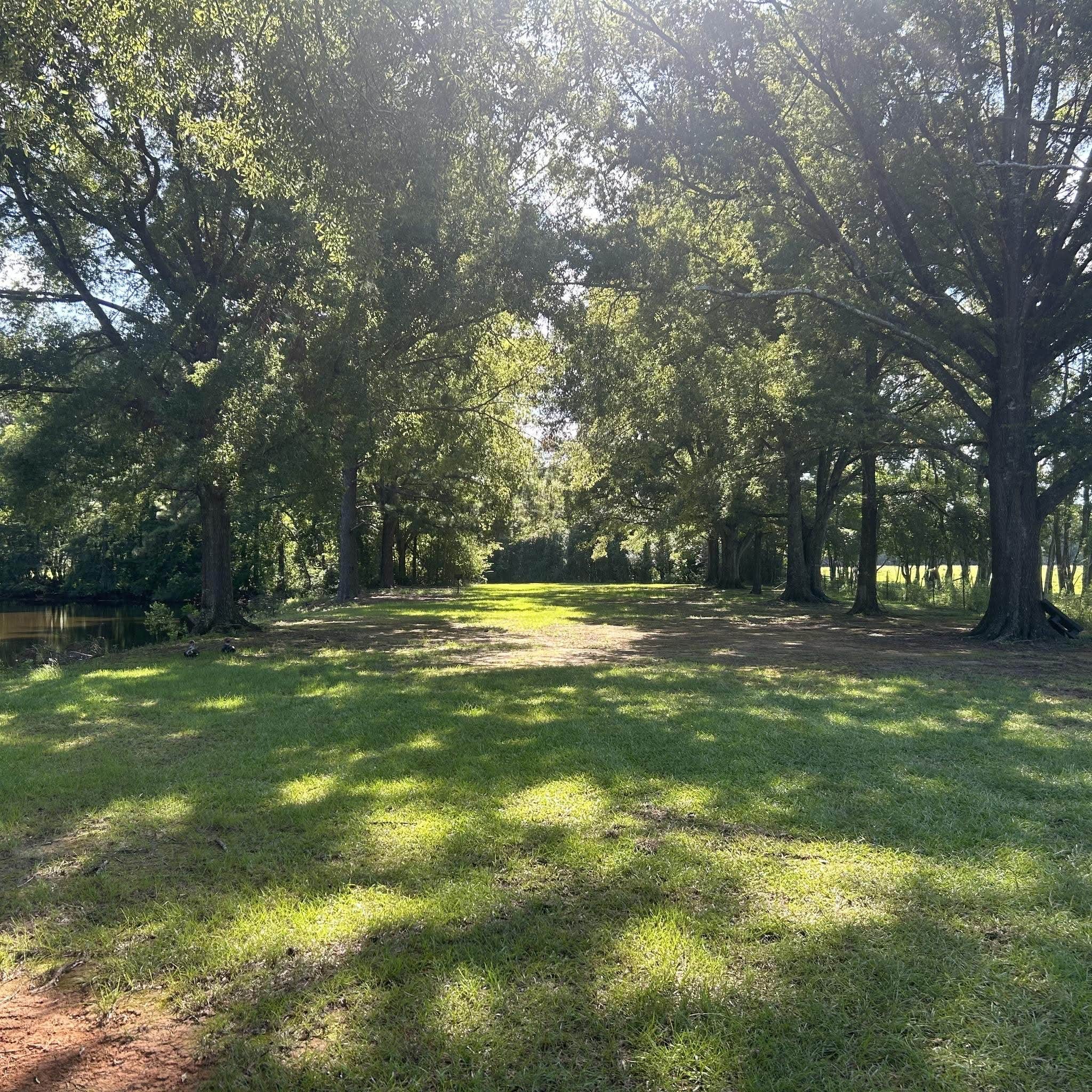 Camper-submitted photo at Sweetwater Campground RV Ranch near Pride, LA