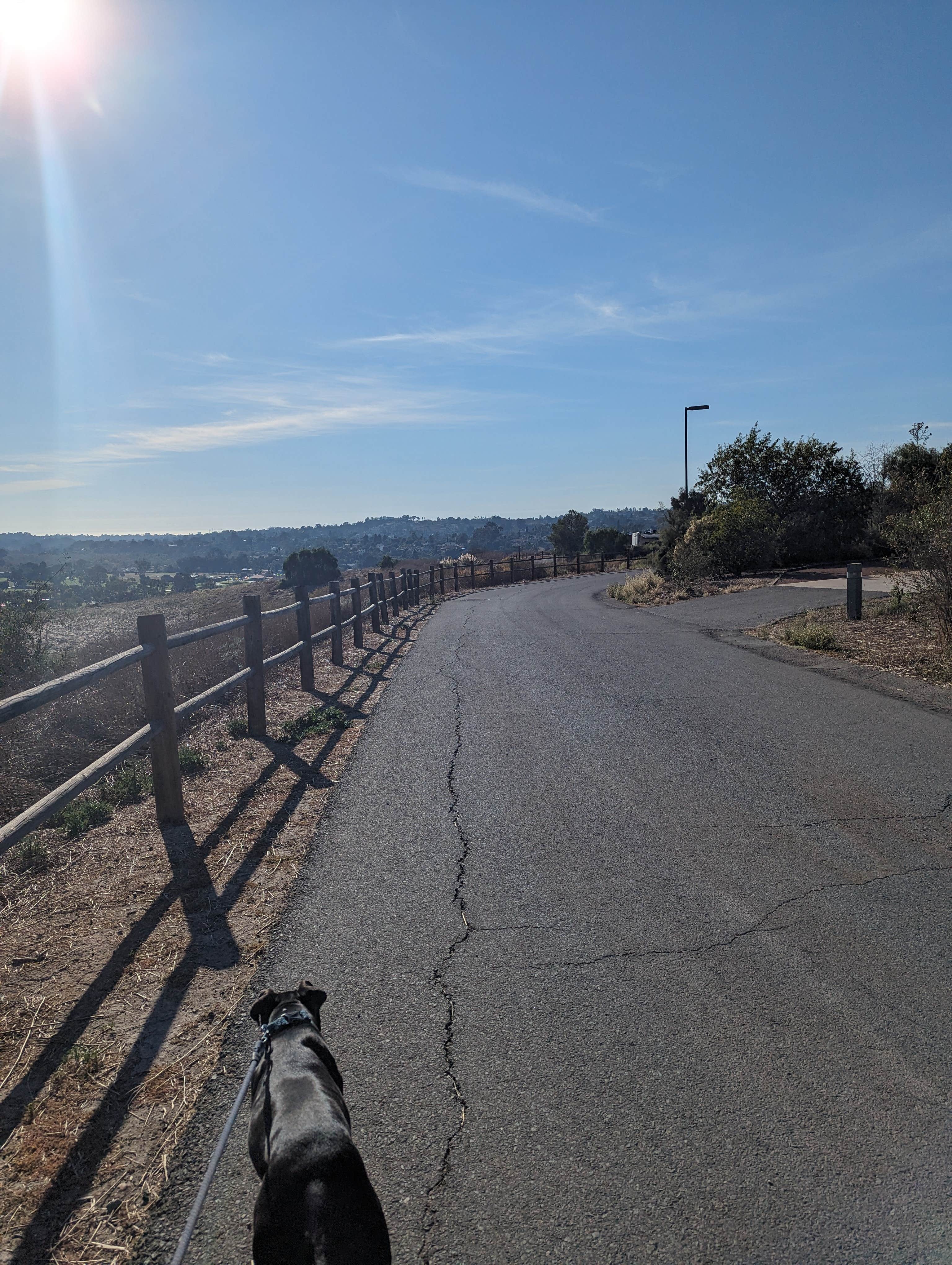 Kristi D.'s photo of camping with pets at Sweetwater near Bass Lake, CA