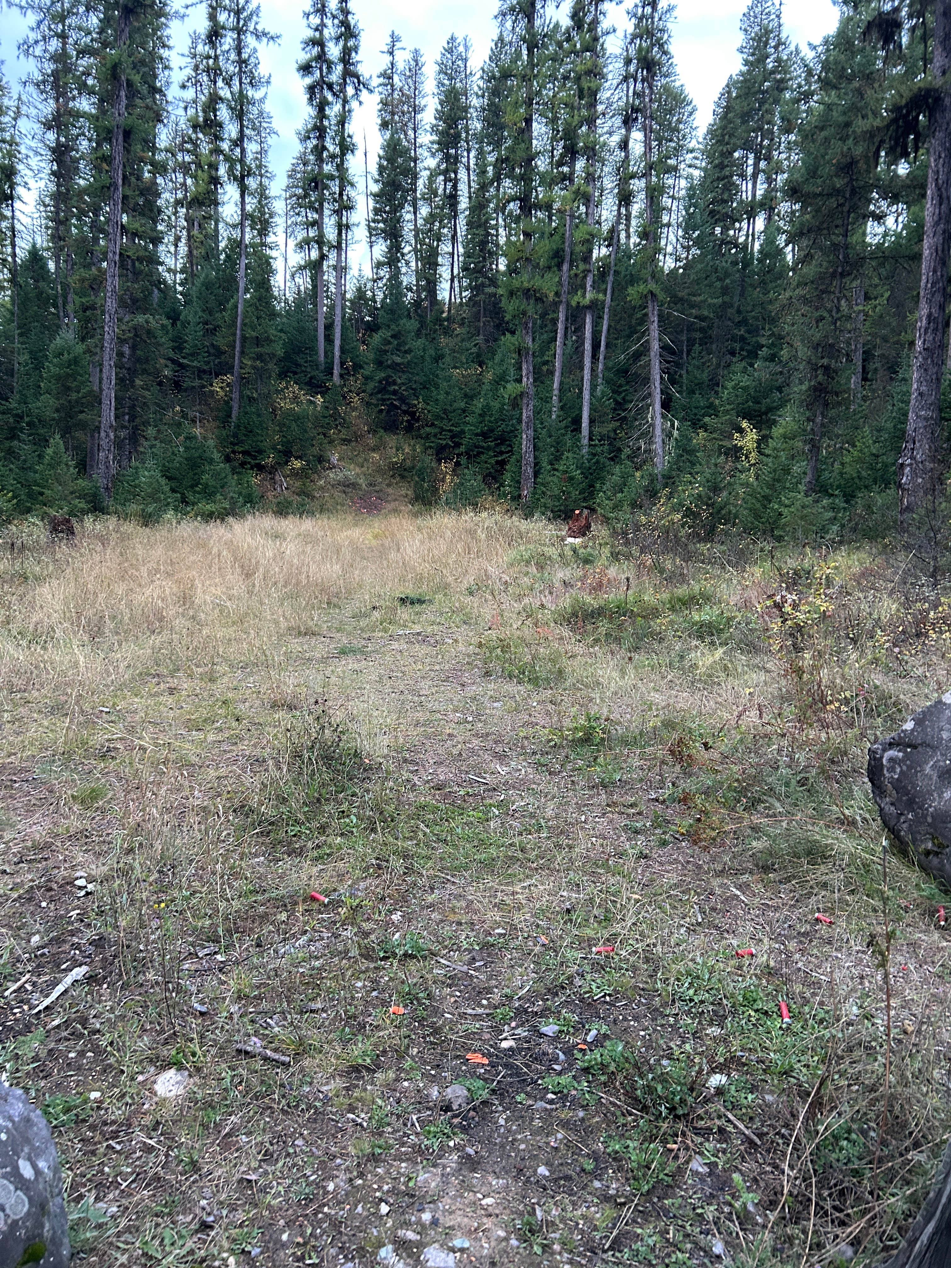 Camping near Flathead NF Dispersed off FS6770 — McGregor Lake Views: Swift Creek Dirt Road, Whitefish, Montana