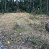 Review photo of Swift Creek Dirt Road by TexasRed (., October 3, 2026