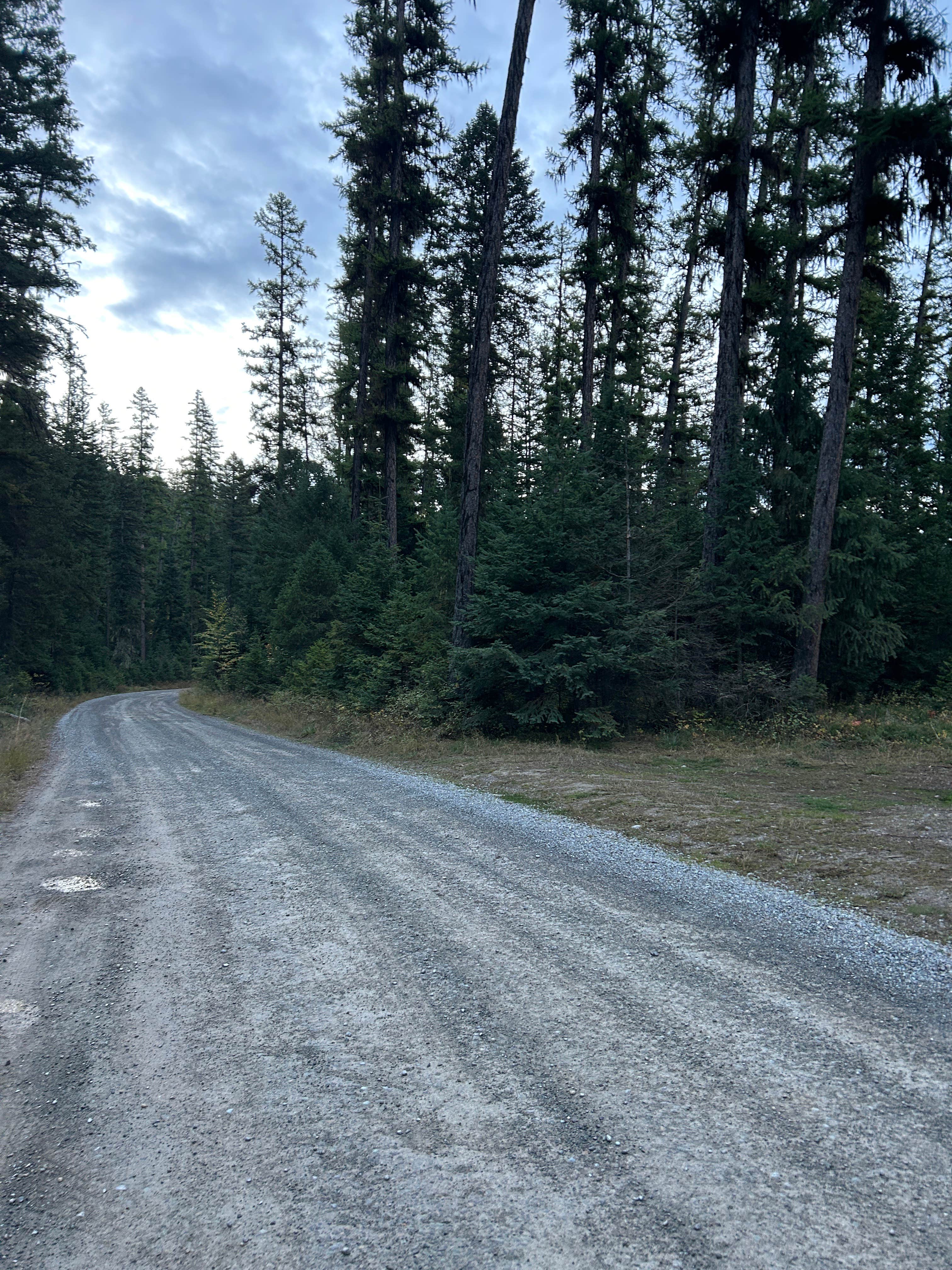 Camper-submitted photo at Swift Creek Dirt Road near Stryker, MT