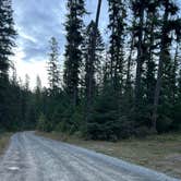 Review photo of Swift Creek Dirt Road by TexasRed (., October 3, 2026