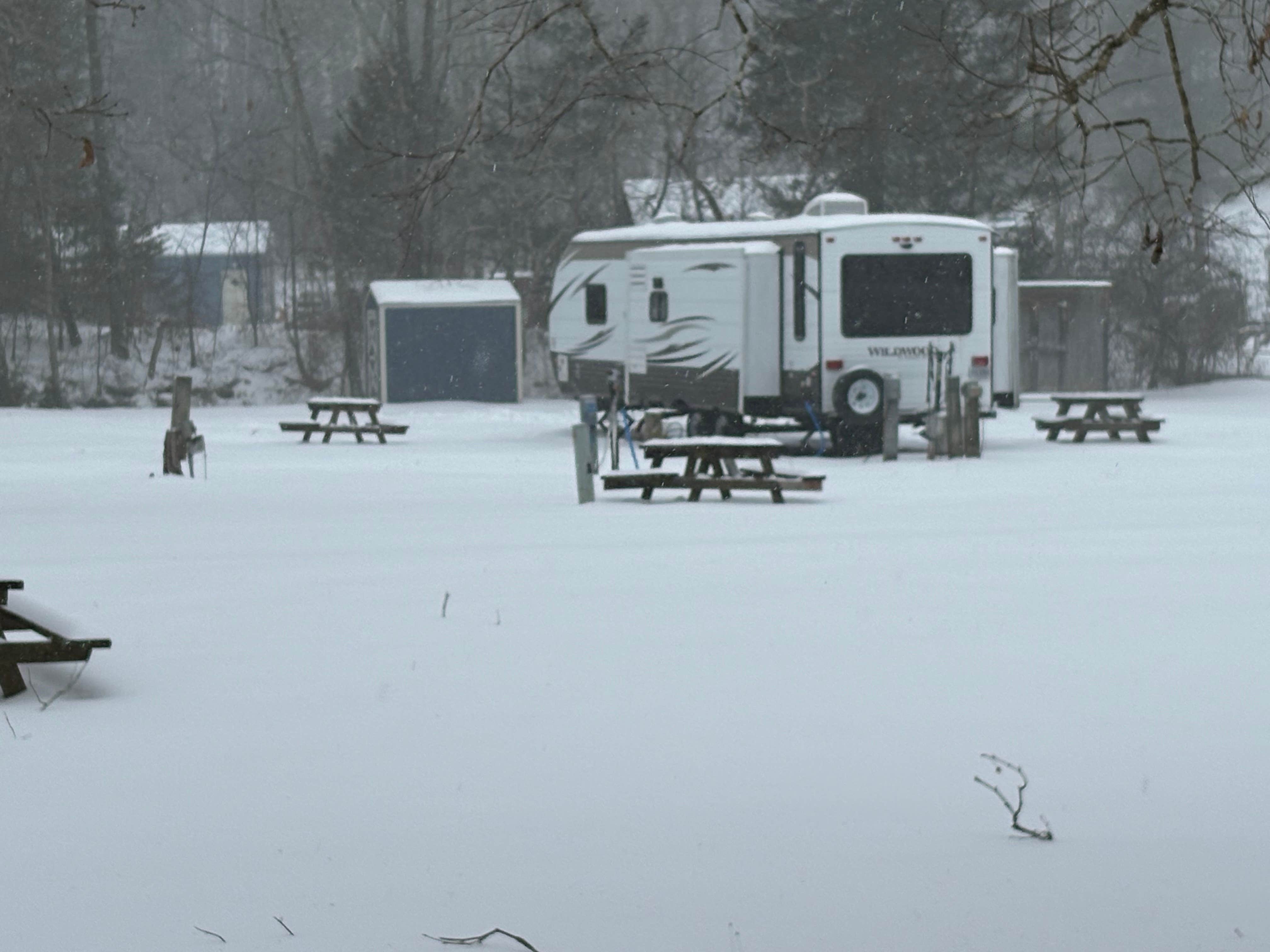 Camper submitted image from Swift Run Campground - 3