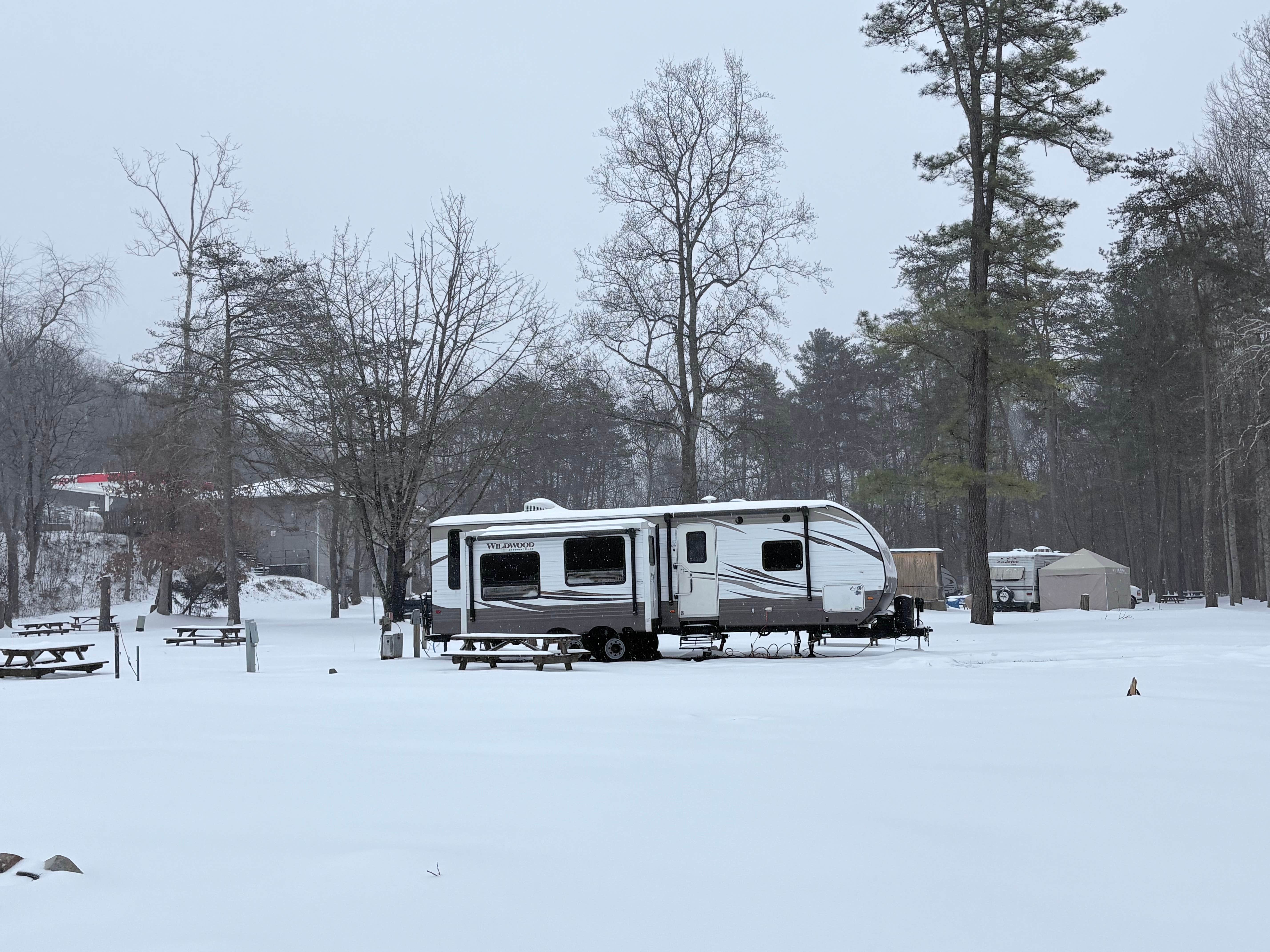 Camper submitted image from Swift Run Campground - 4