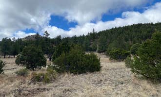 Camping near Juniper Campground: Swingle Canyon, Datil, New Mexico