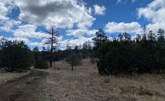 Amina B.'s photo of a dispersed camping area at Swingle Canyon near Quemado, NM