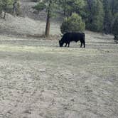 Review photo of Swingle Canyon by M K., April 9, 2026