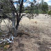 Review photo of Swingle Canyon by Meghan B., May 8, 2025
