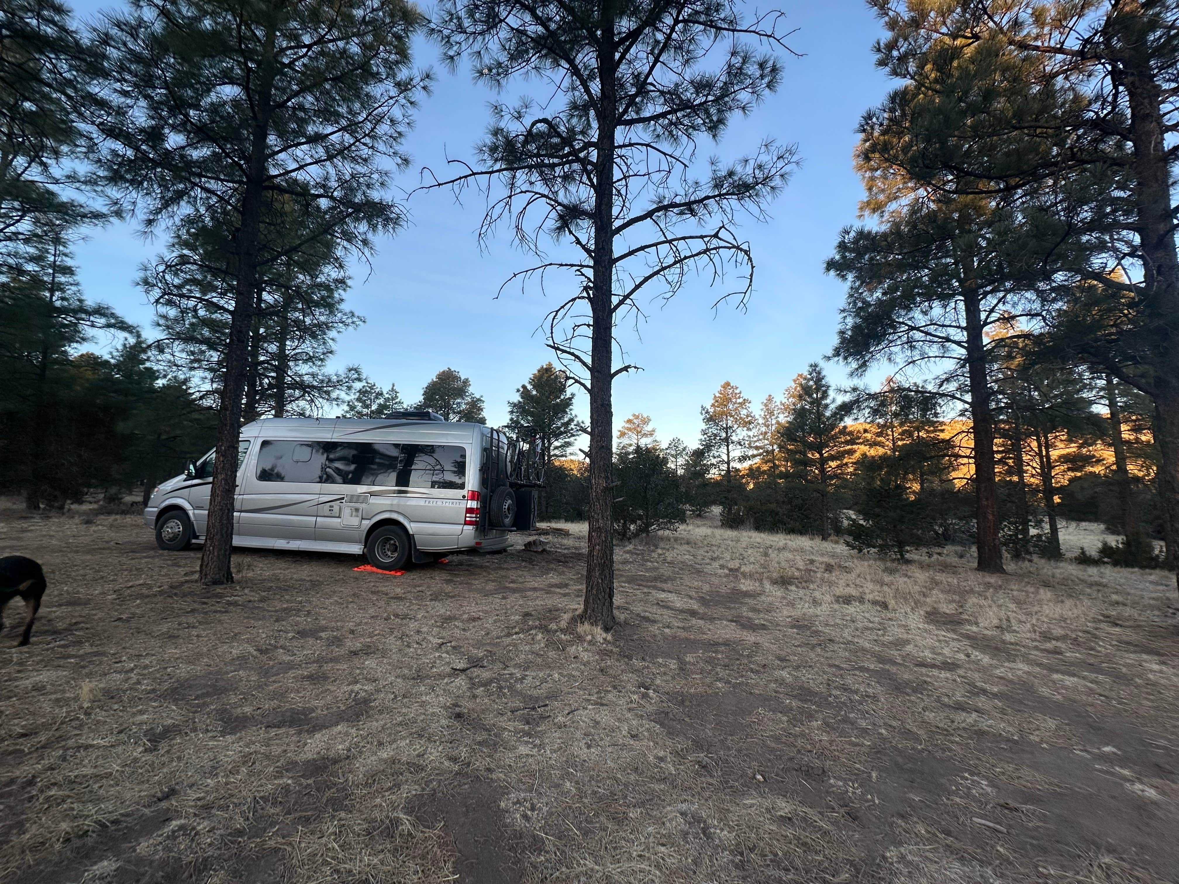 Teresa A.'s photo of rv camping at Swingle Canyon near Magdalena, NM