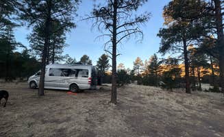 Teresa A.'s photo of rv camping at Swingle Canyon near Datil, NM