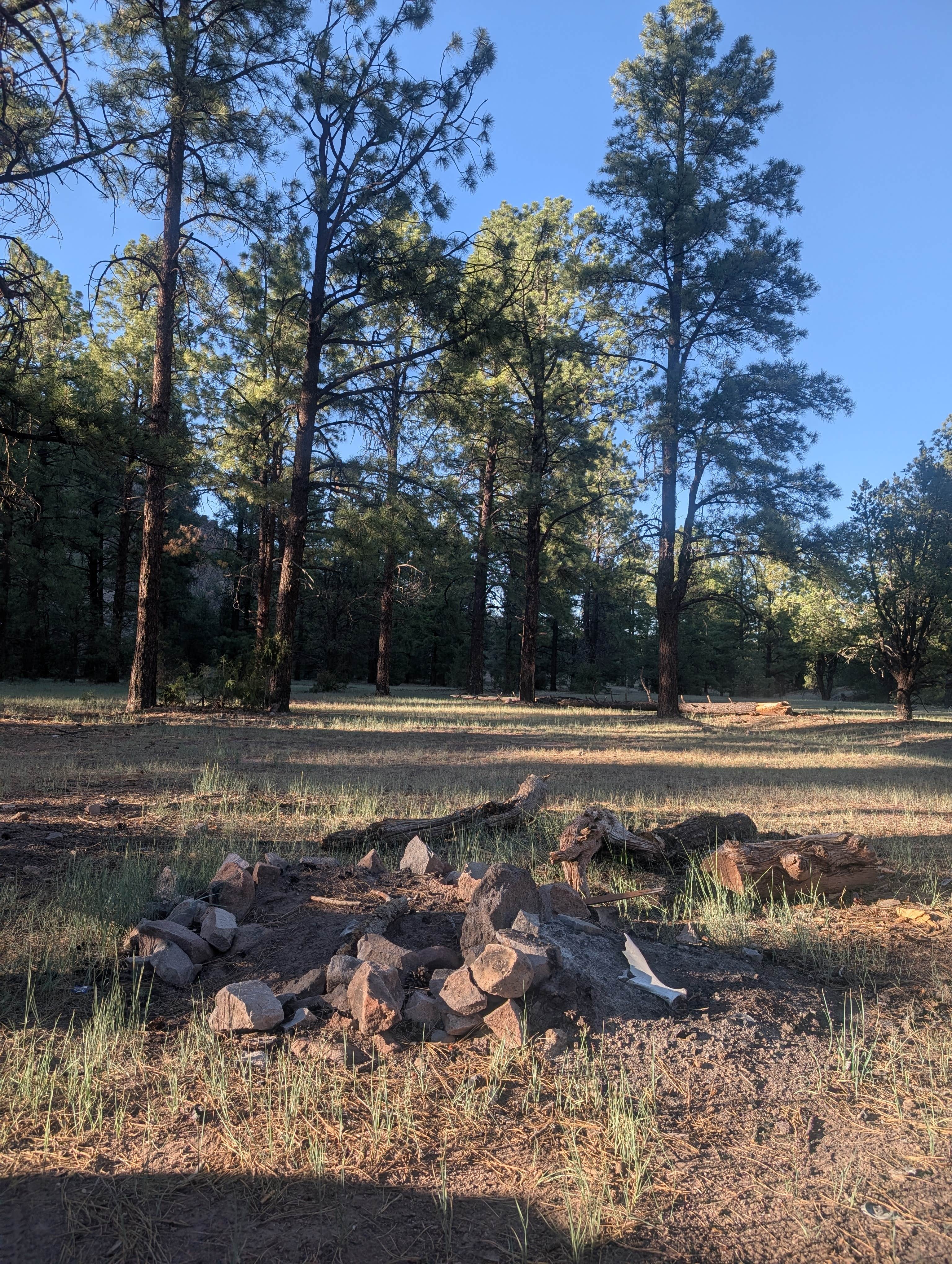 Camping near Bear Trap Campground: Swingle Canyon, Datil, New Mexico