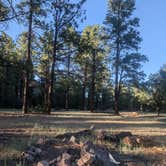 Review photo of Swingle Canyon by Matt G., July 17, 2026