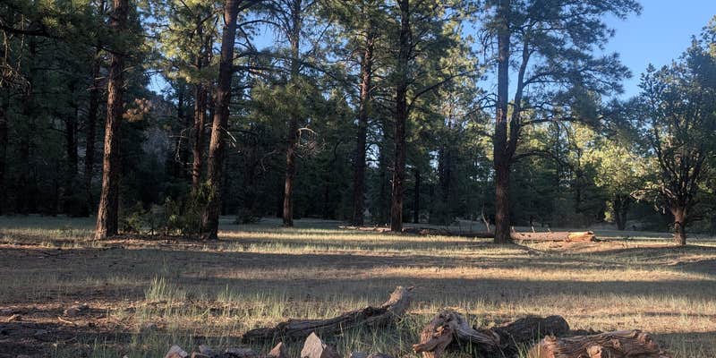 Camper submitted image from Swingle Canyon
