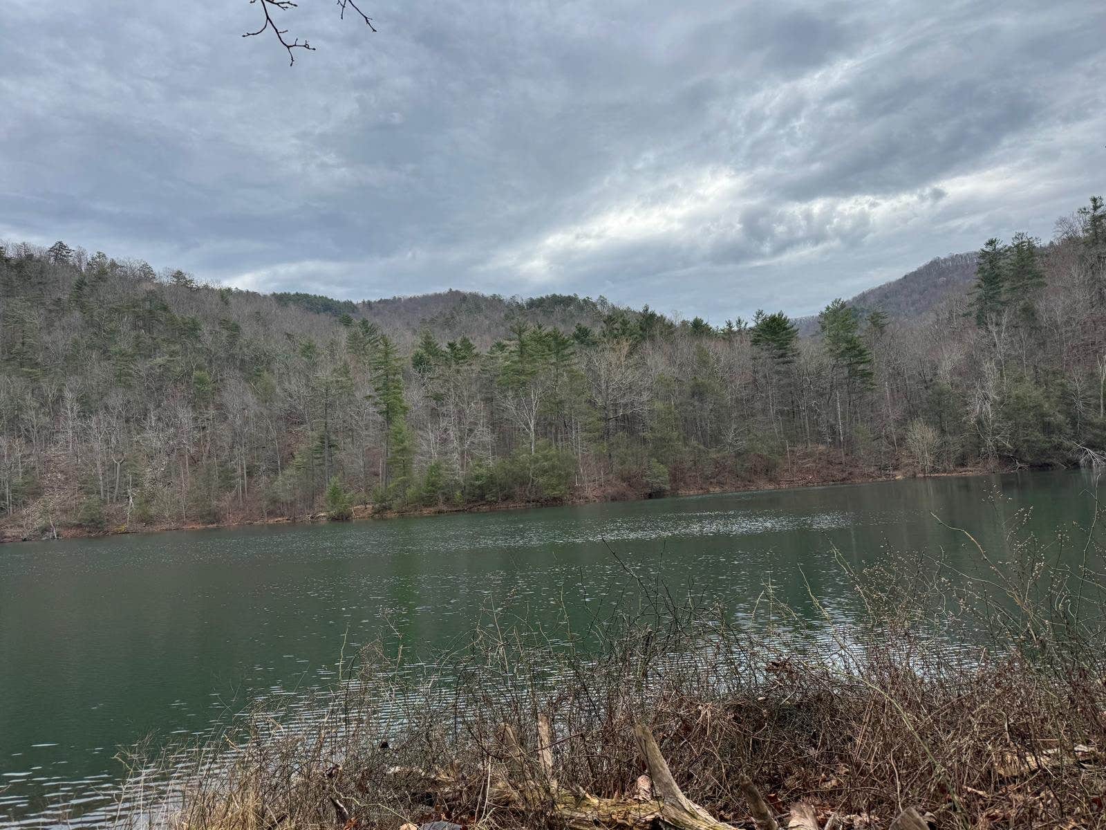 Agatha F.'s photo of a dispersed camping area at Switzer Lake Dispersed Camping near Brandywine, WV