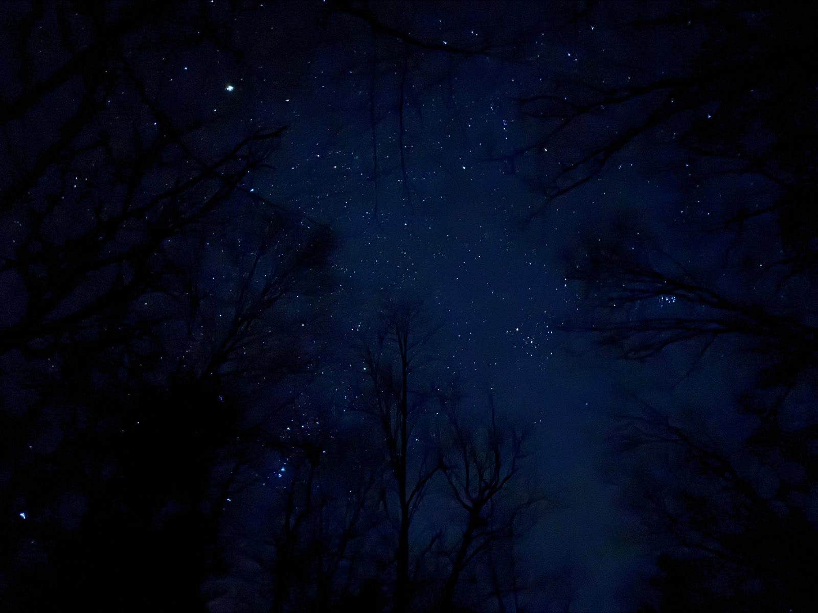 Agatha F.'s photo of a dispersed camping area at Switzer Lake Dispersed Camping near Bentonville, VA