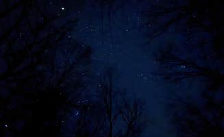 Agatha F.'s photo of a dispersed camping area at Switzer Lake Dispersed Camping near Fulks Run, VA