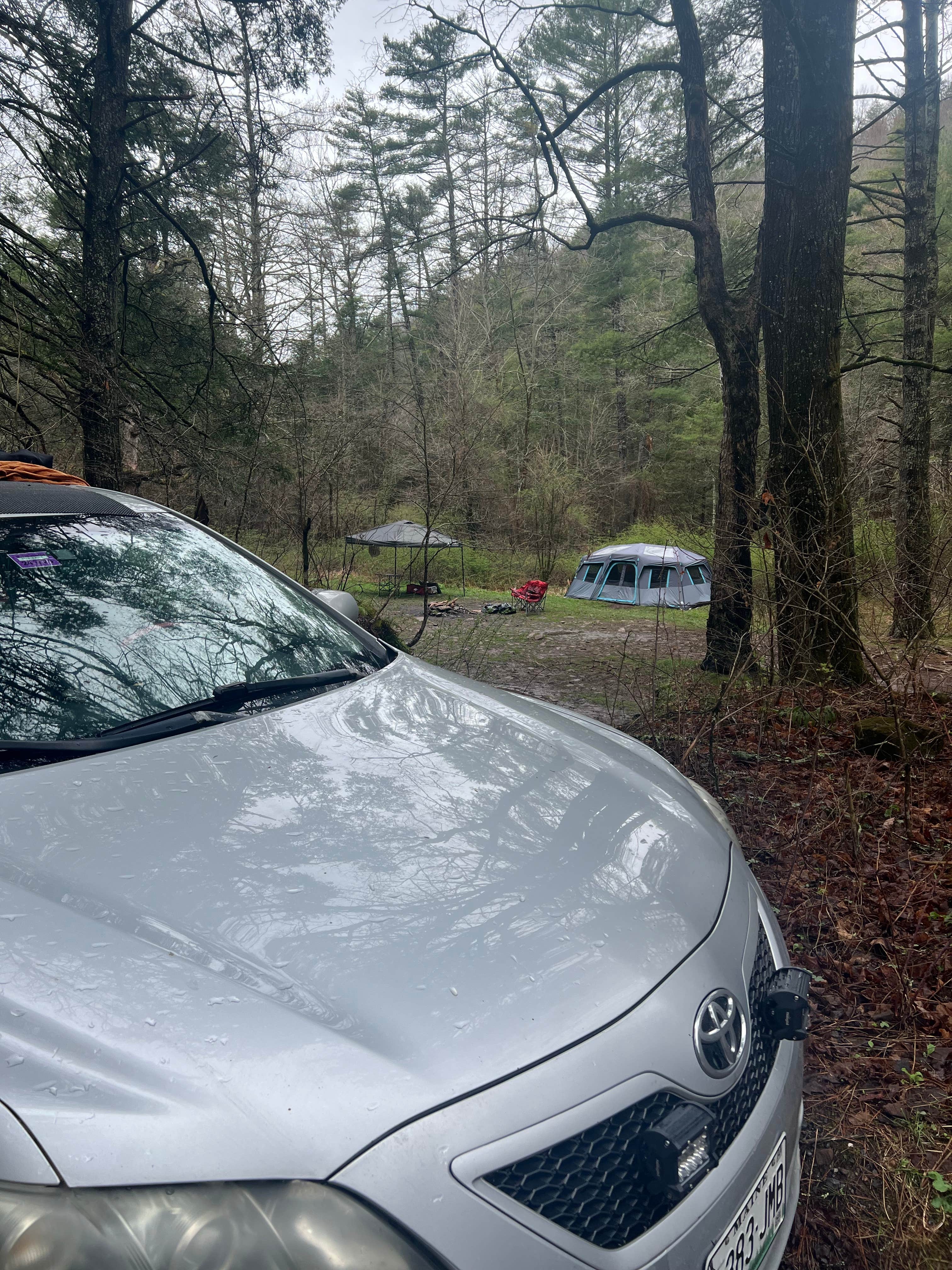 Camper-submitted photo at Switzer Lake Dispersed Camping near Mount Solon, VA