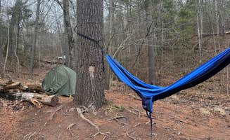 Agatha F.'s photo of tent camping at Switzer Lake Dispersed Camping near Cass, WV
