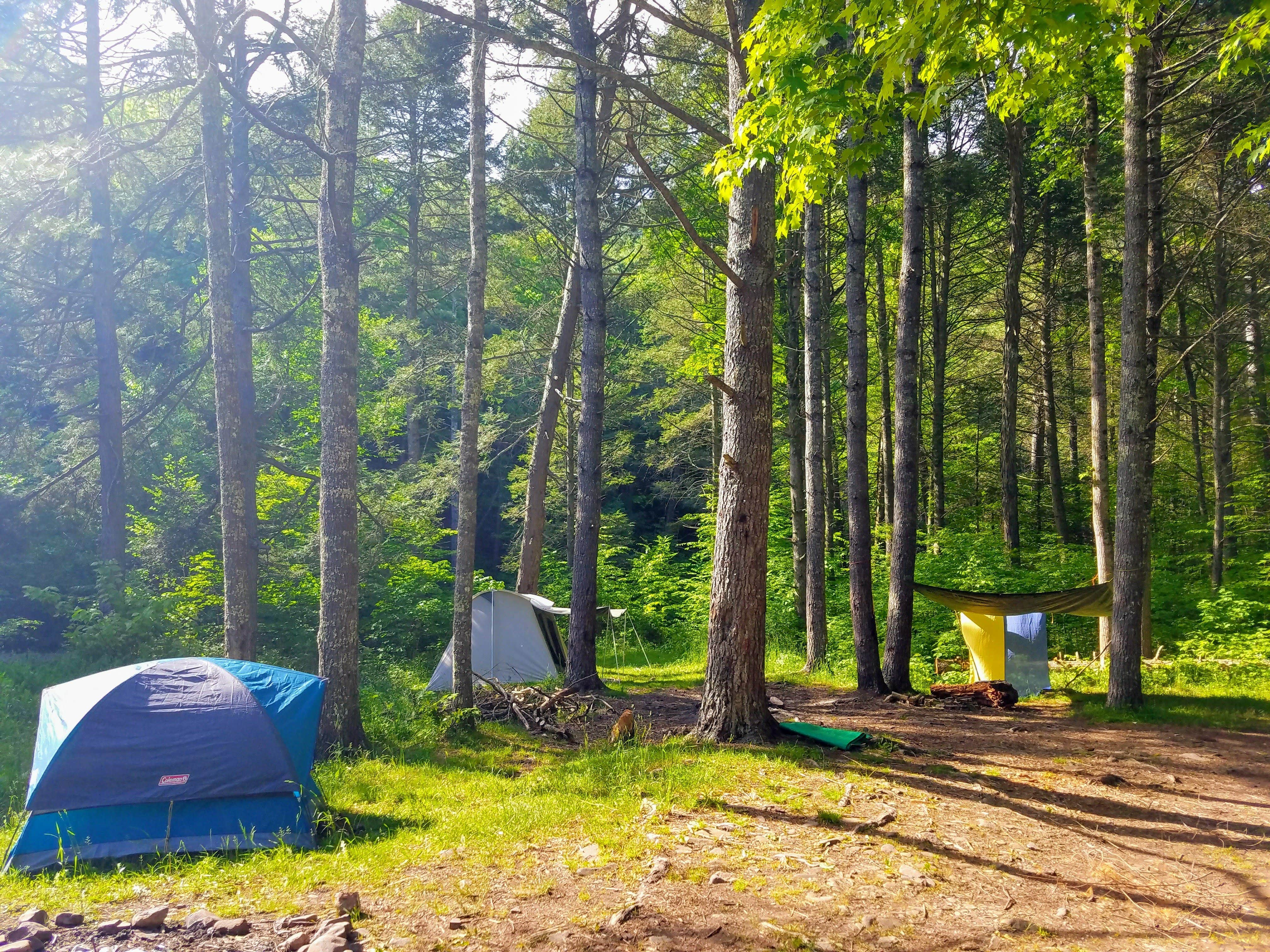 Camper-submitted photo at Switzer Lake Dispersed Camping near Singers Glen, VA