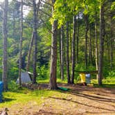 Review photo of Switzer Lake Dispersed Camping by Emil D., December 31, 2023