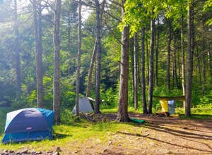 Switzer Lake Dispersed Camping