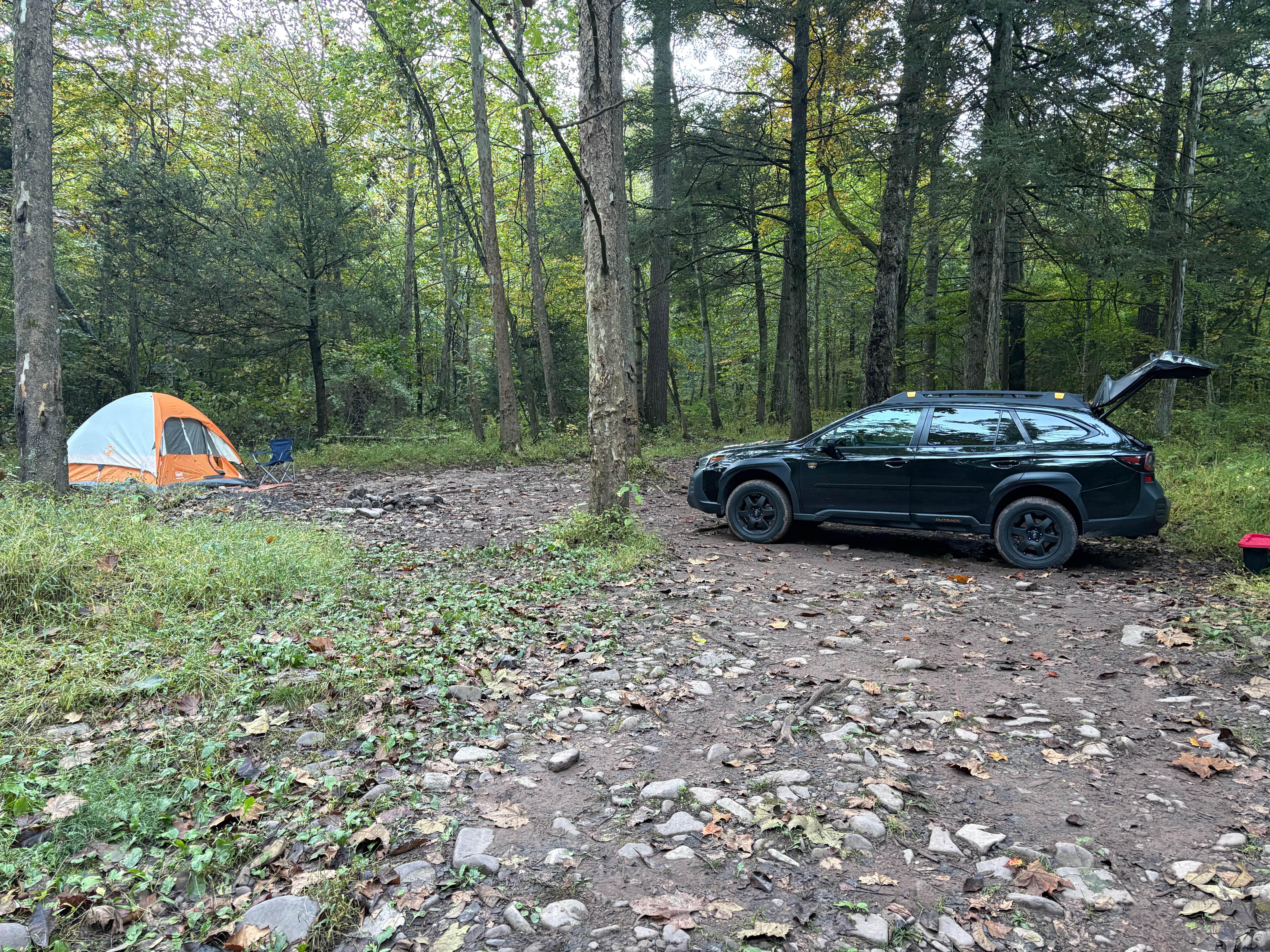 Joe M.'s photo of a dispersed camping area at Switzer Lake Dispersed Camping near Broadway, VA