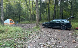 Joe M.'s photo of a dispersed camping area at Switzer Lake Dispersed Camping near Singers Glen, VA