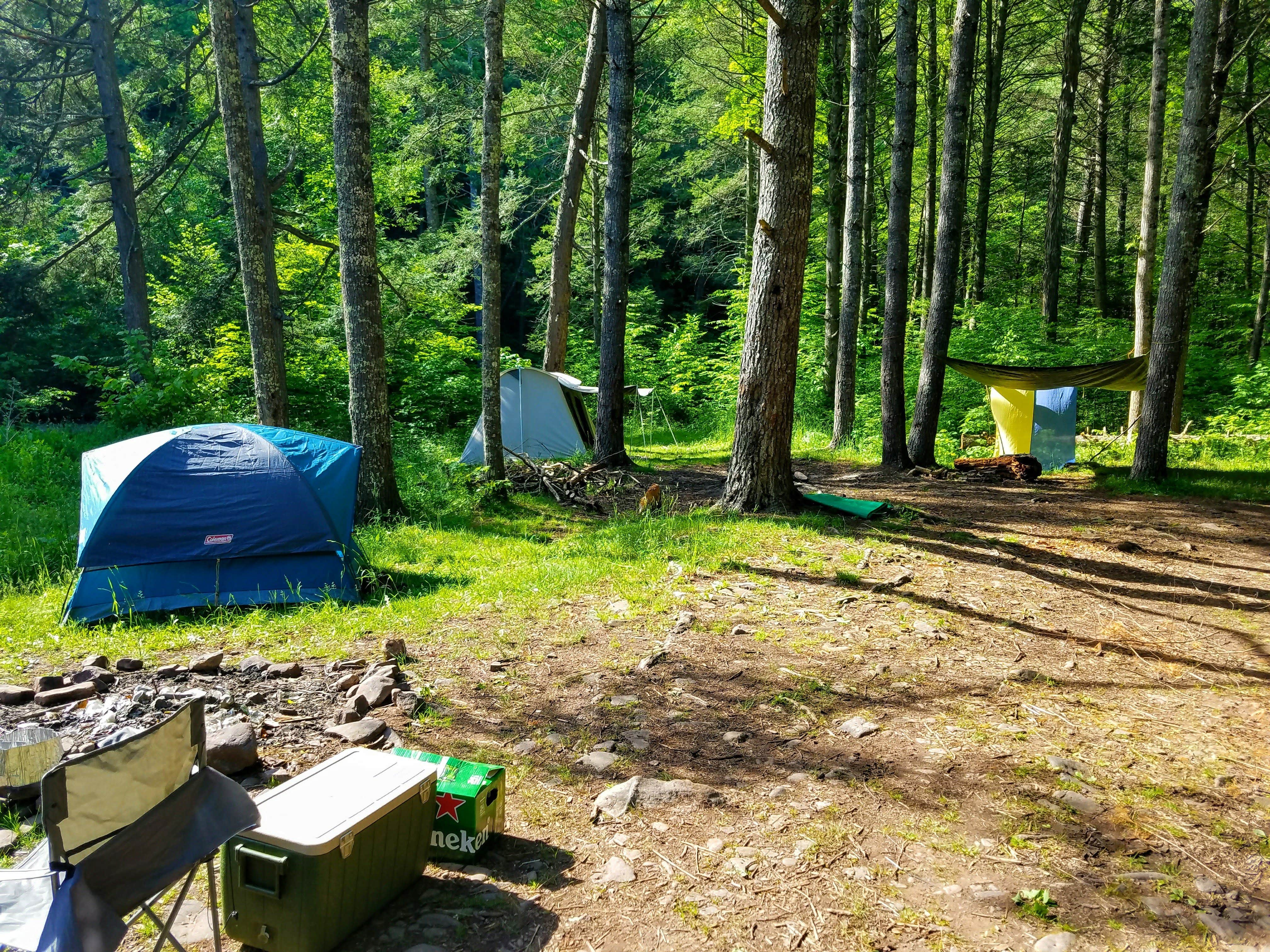 Emil D.'s photo of tent camping at Switzer Lake Dispersed Camping near Churchville, VA