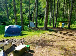 Switzer Lake Dispersed Camping