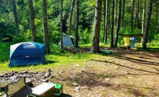 Emil D.'s photo of tent camping at Switzer Lake Dispersed Camping near Shenandoah, VA