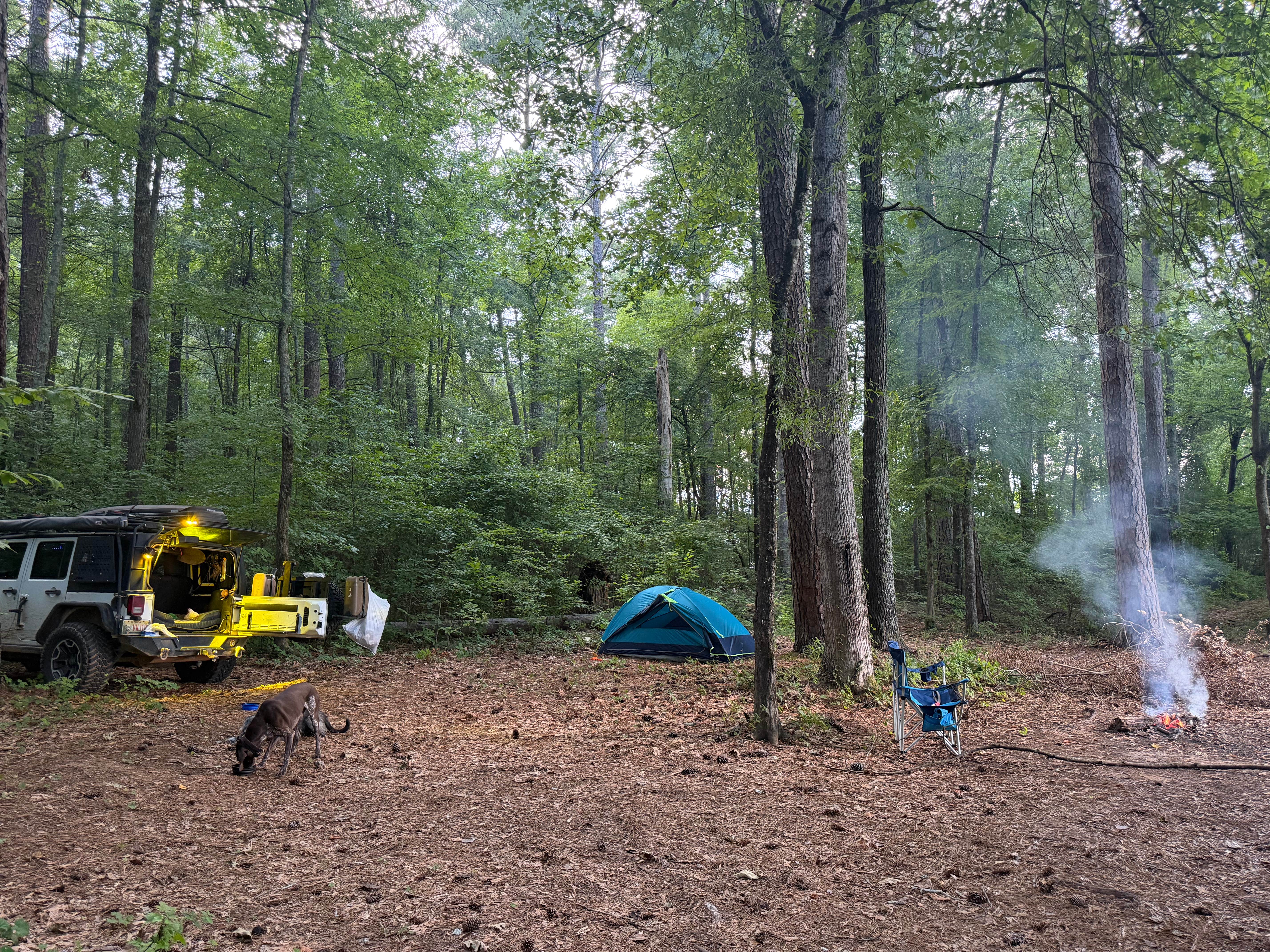 Camper-submitted photo at Swords Dispersed Campsite near Crawfordville, GA