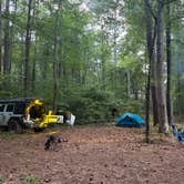 Review photo of Swords Dispersed Campsite by Kane G., July 9, 2026