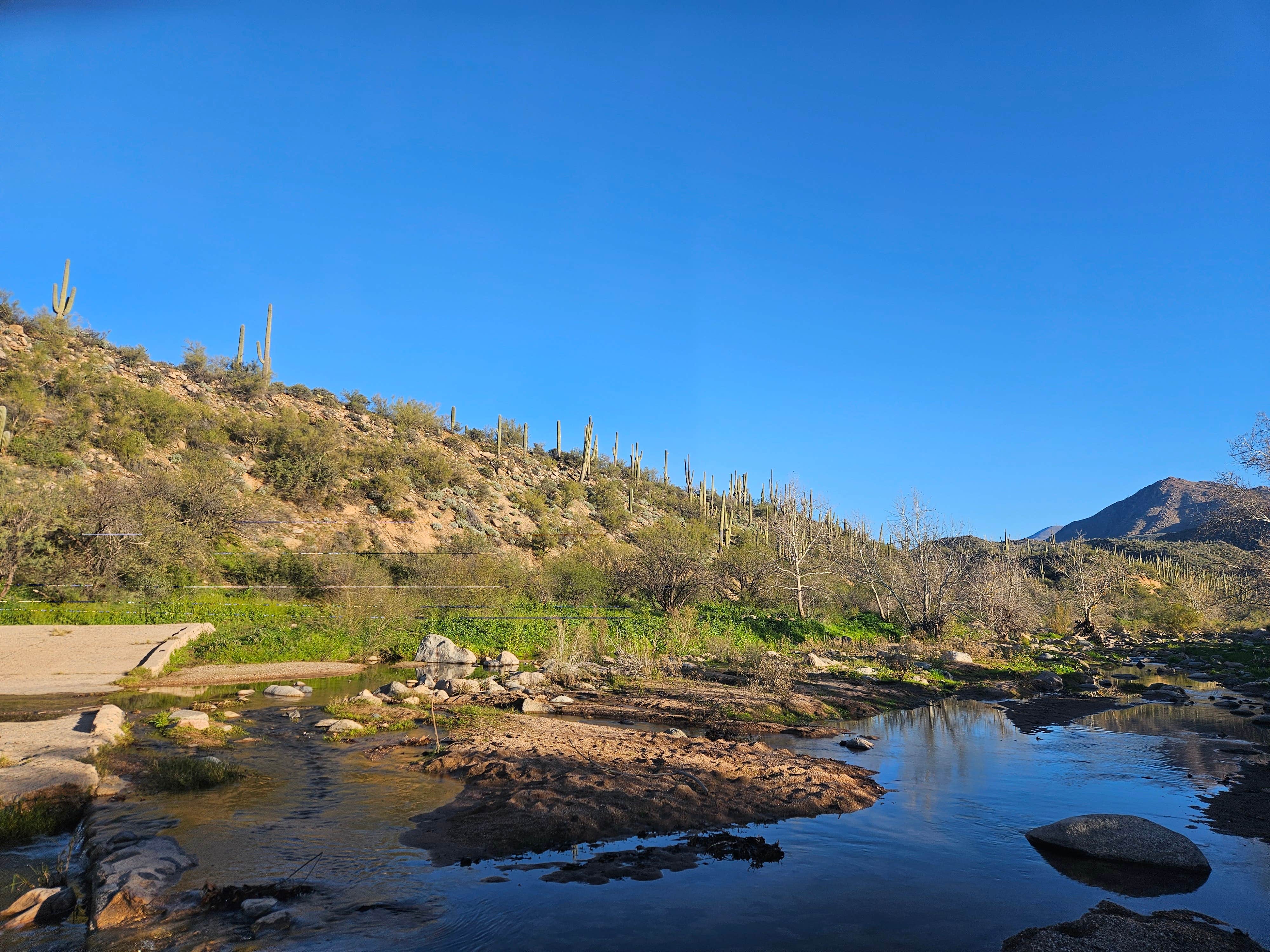 Camper submitted image from Sycamore Creek Recreation Area - 4