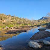 Review photo of Sycamore Creek Recreation Area by Gregg T., January 11, 2026
