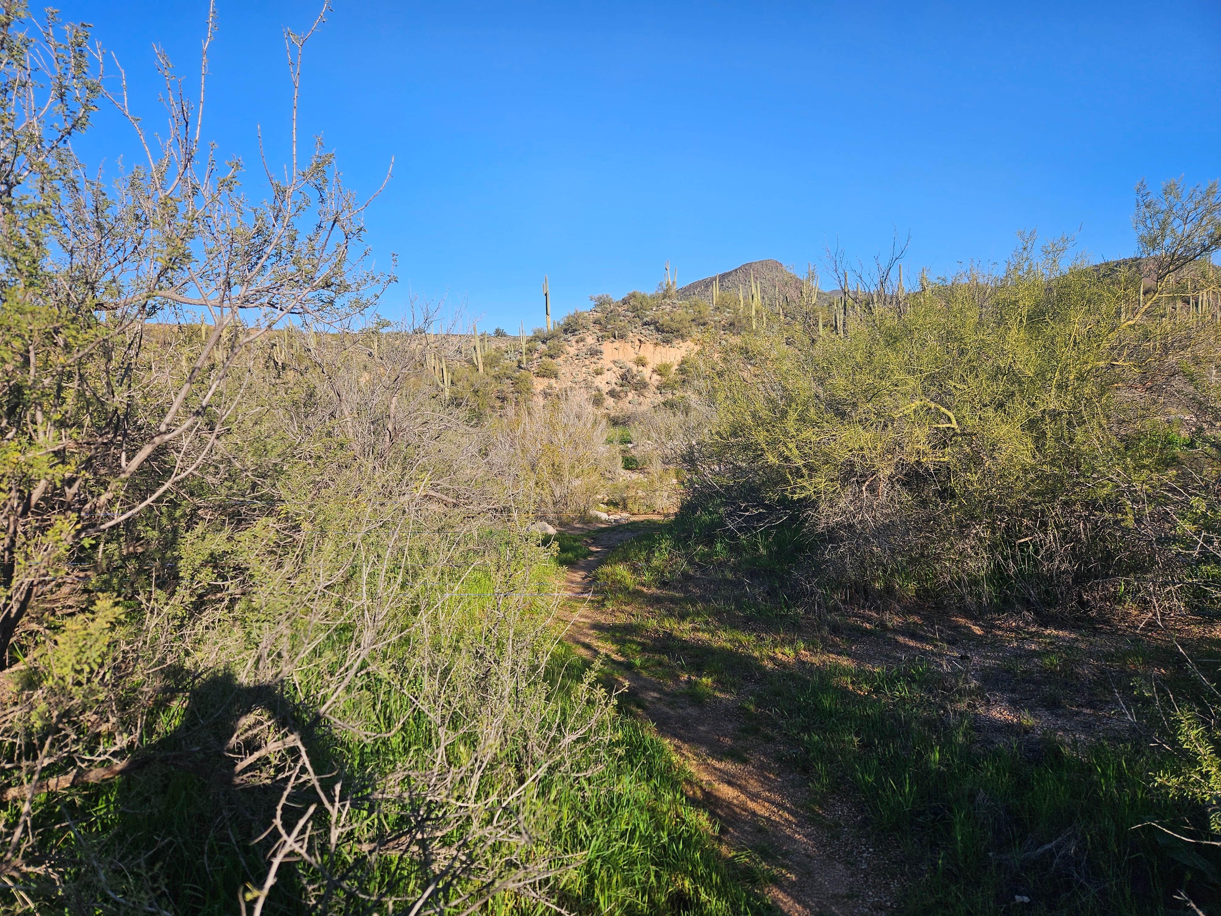 Camper-submitted photo at Sycamore Creek Recreation Area near Tonto National Forest