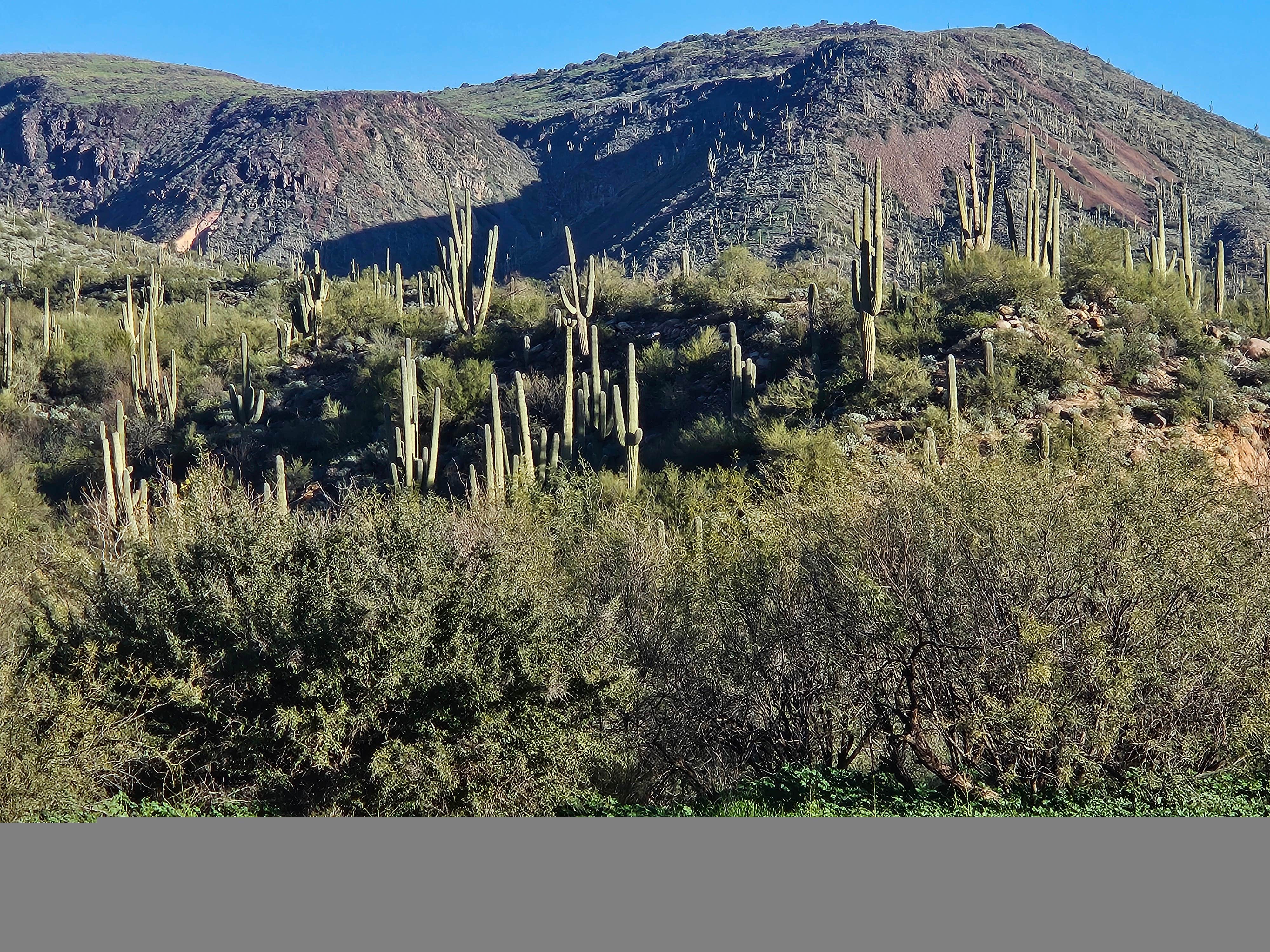 Camper-submitted photo at Sycamore Creek Recreation Area near Tonto National Forest