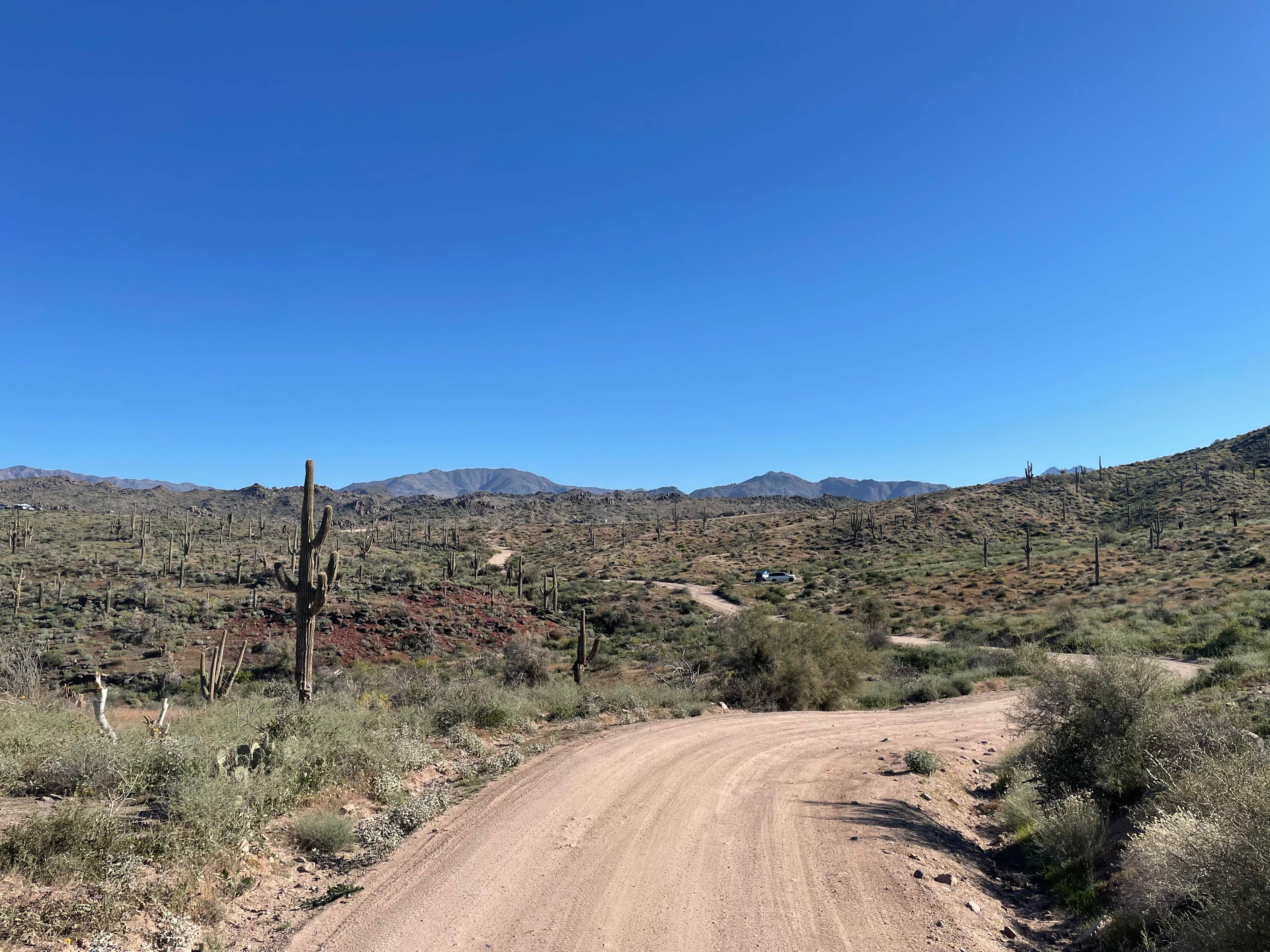 Theya W.'s photo of a dispersed camping area at Sycamore Creek near Mesa, AZ