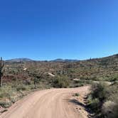 Review photo of Sycamore Creek by Theya W., February 17, 2026