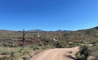 Theya W.'s photo of a dispersed camping area at Sycamore Creek near Superstition Mobile Ranch, AZ