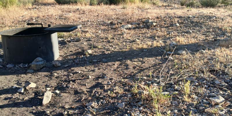 Camper submitted image from Sycamore Flats Campground