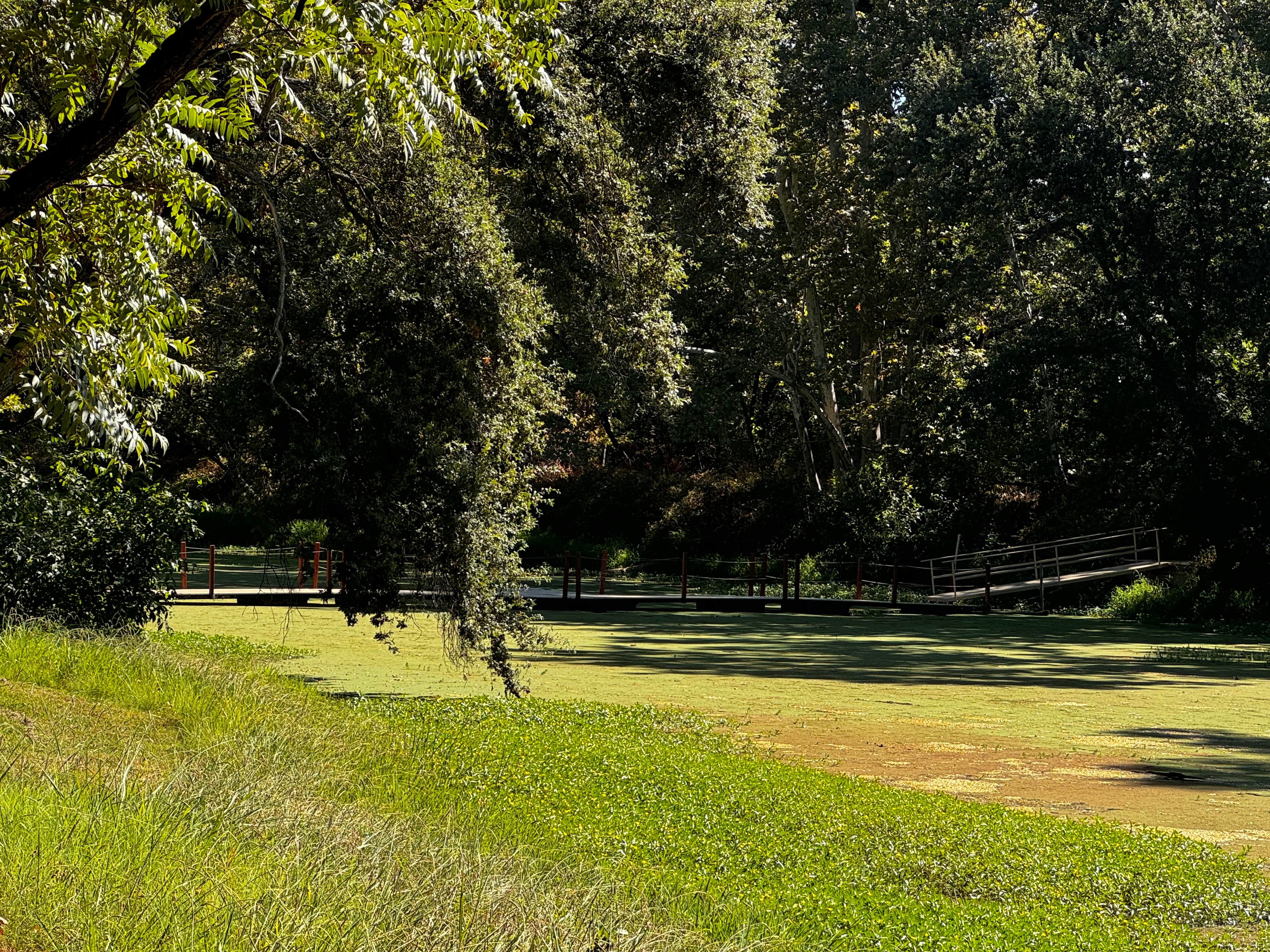 Camper-submitted photo at Sycamore Ranch RV Park near Gridley, CA