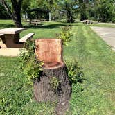 Review photo of Sycamore Ranch RV Park by GHA , April 5, 2026