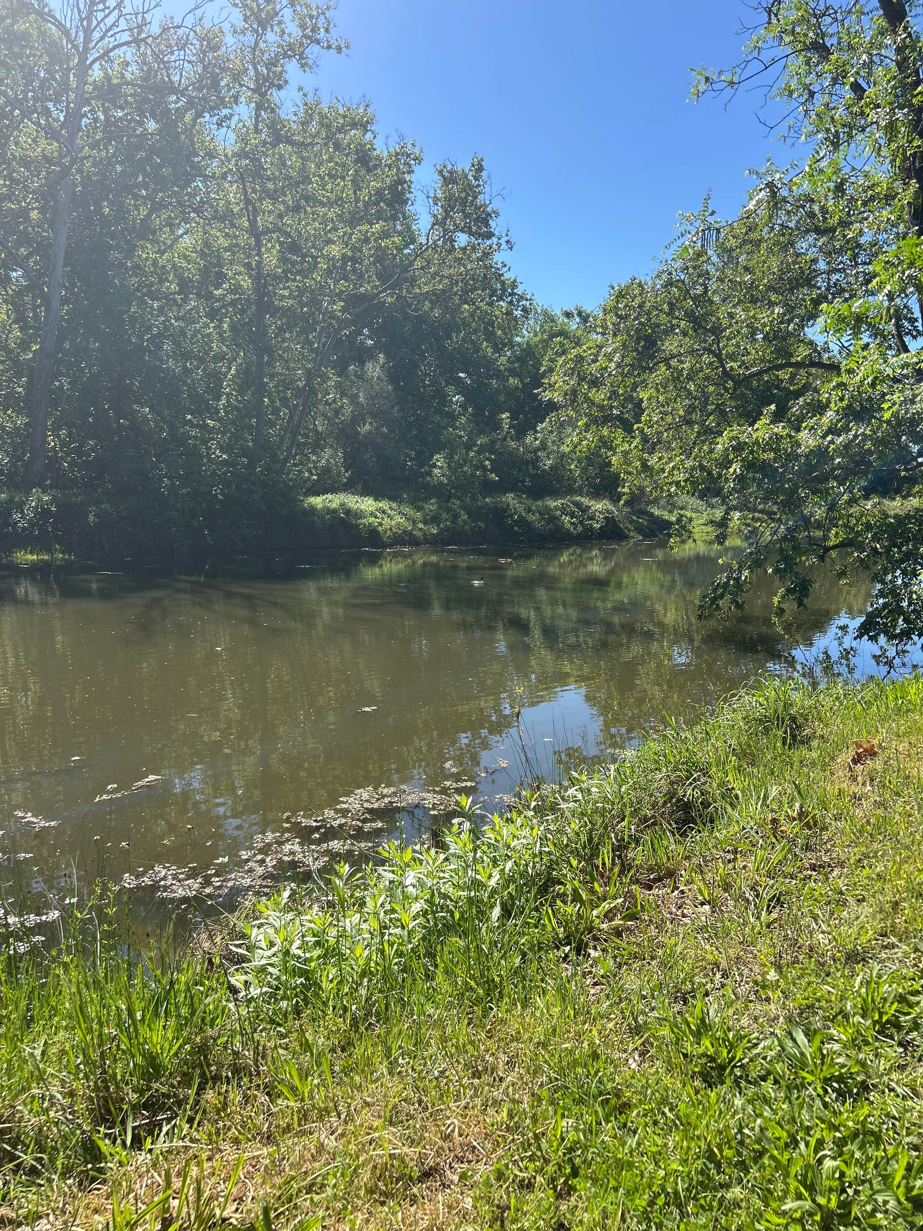 Camper-submitted photo at Sycamore Ranch RV Park near Grass Valley, CA