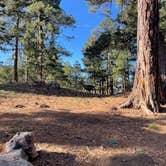 Review photo of Sykes Knob by Rachael F., April 9, 2026