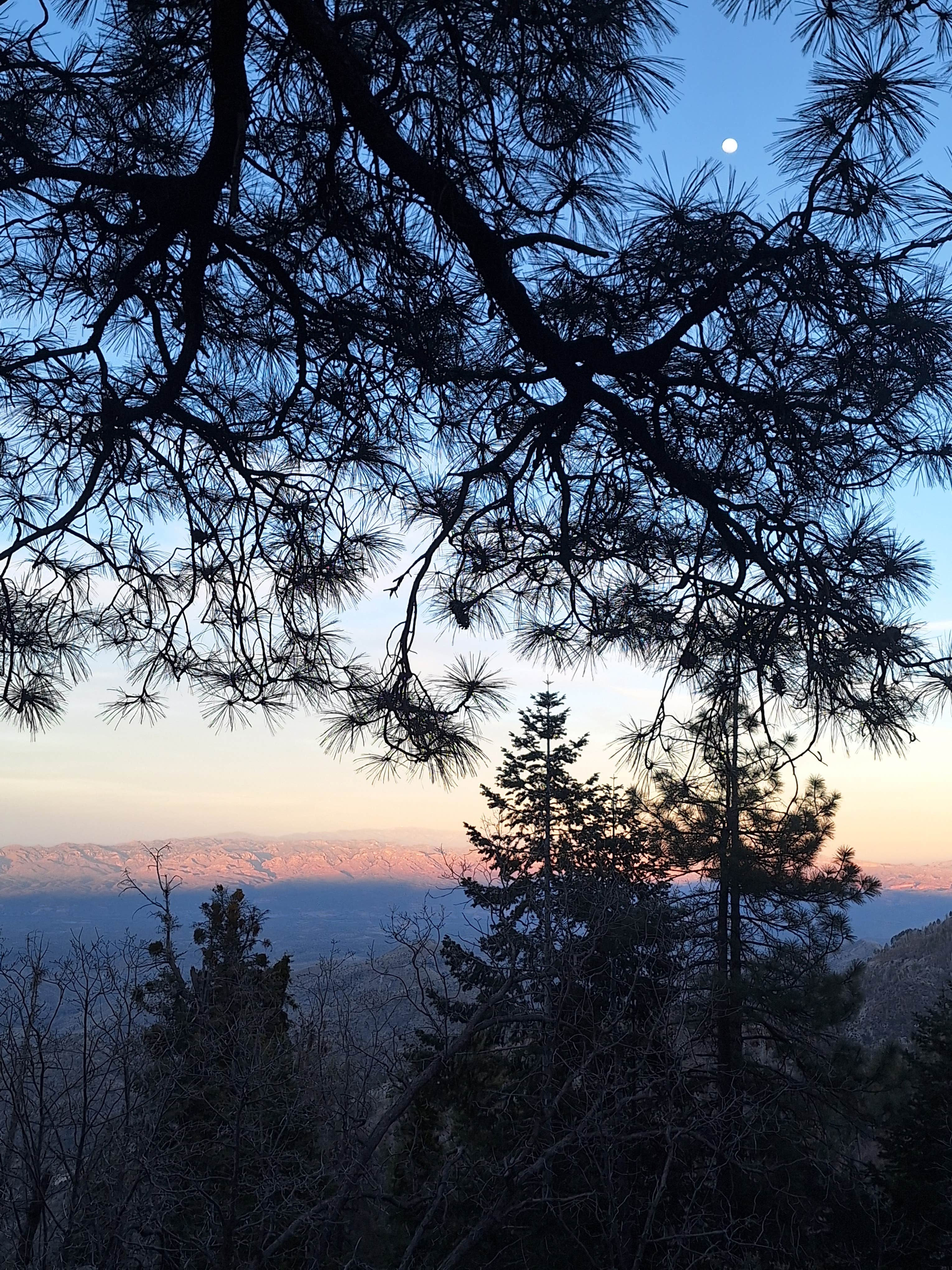 Camper-submitted photo at Sykes Knob near Catalina, AZ