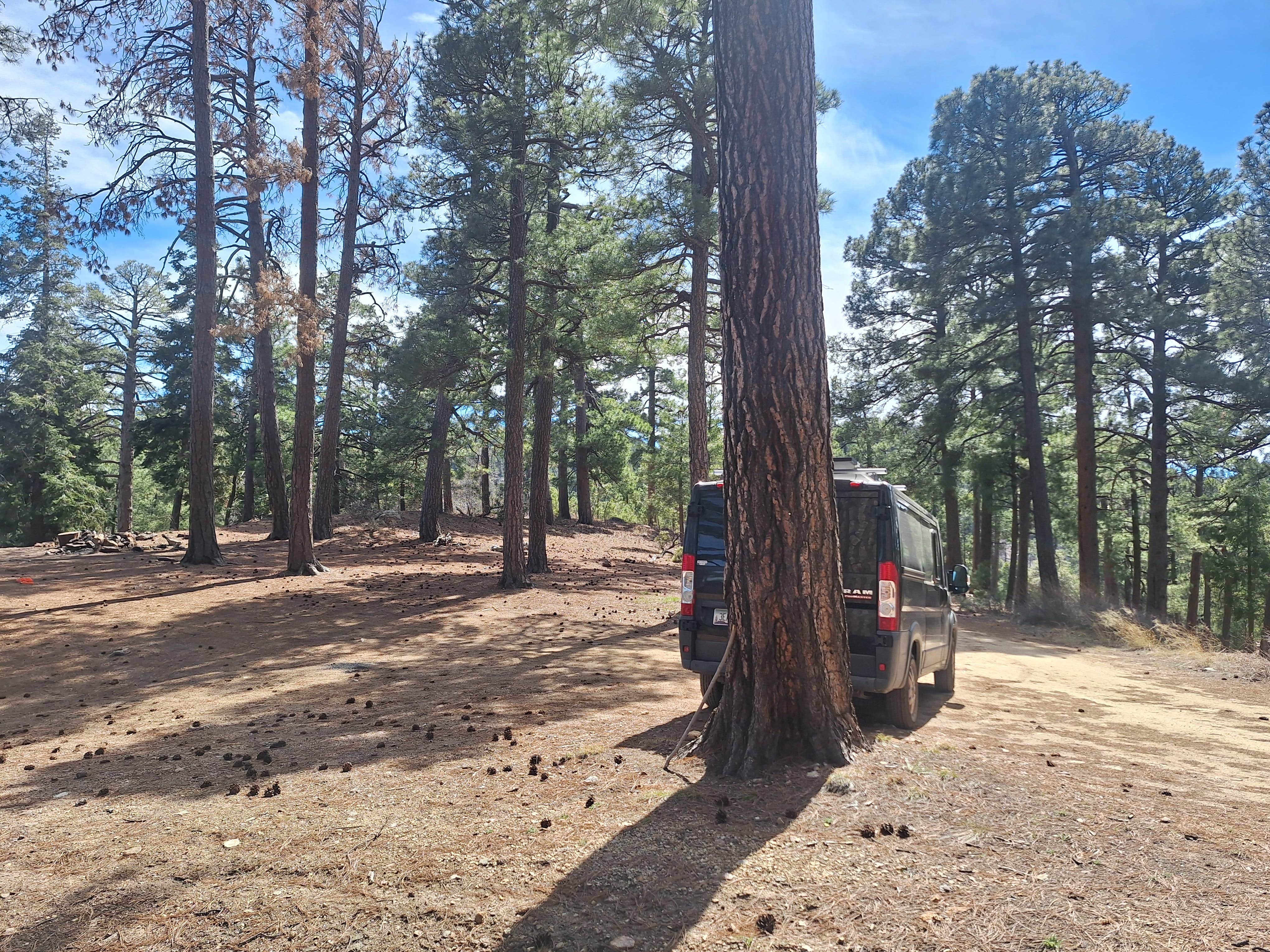 Camper-submitted photo at Sykes Knob near Catalina, AZ