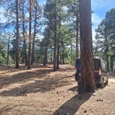 Review photo of Sykes Knob by Jerry N., March 1, 2026