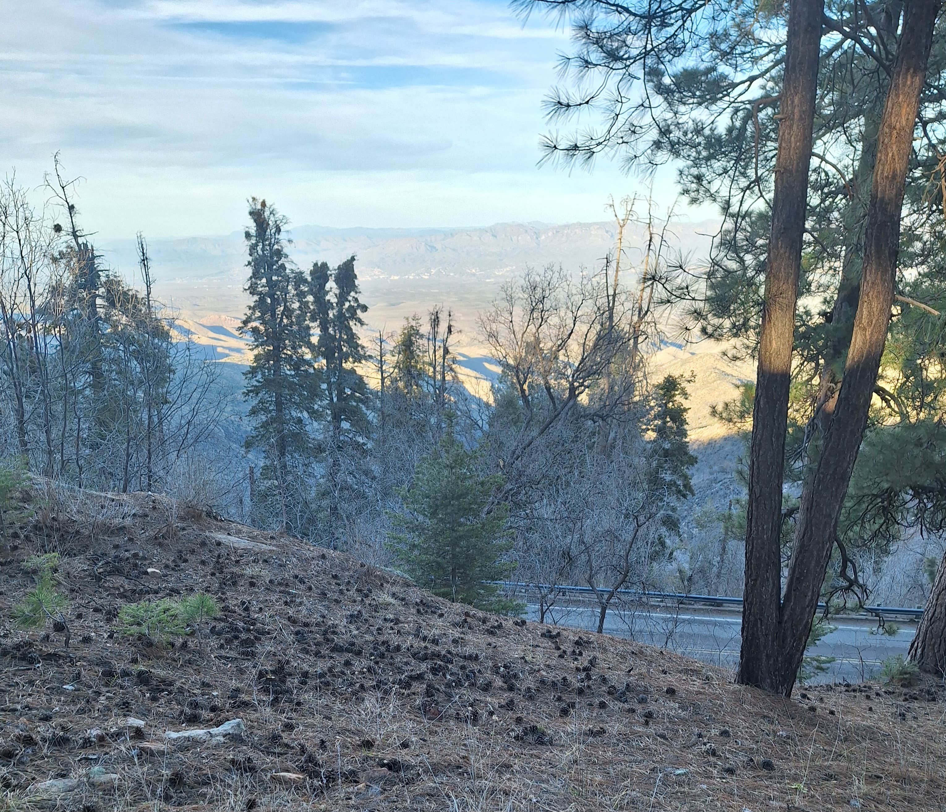 Camper-submitted photo at Sykes Knob near Catalina, AZ